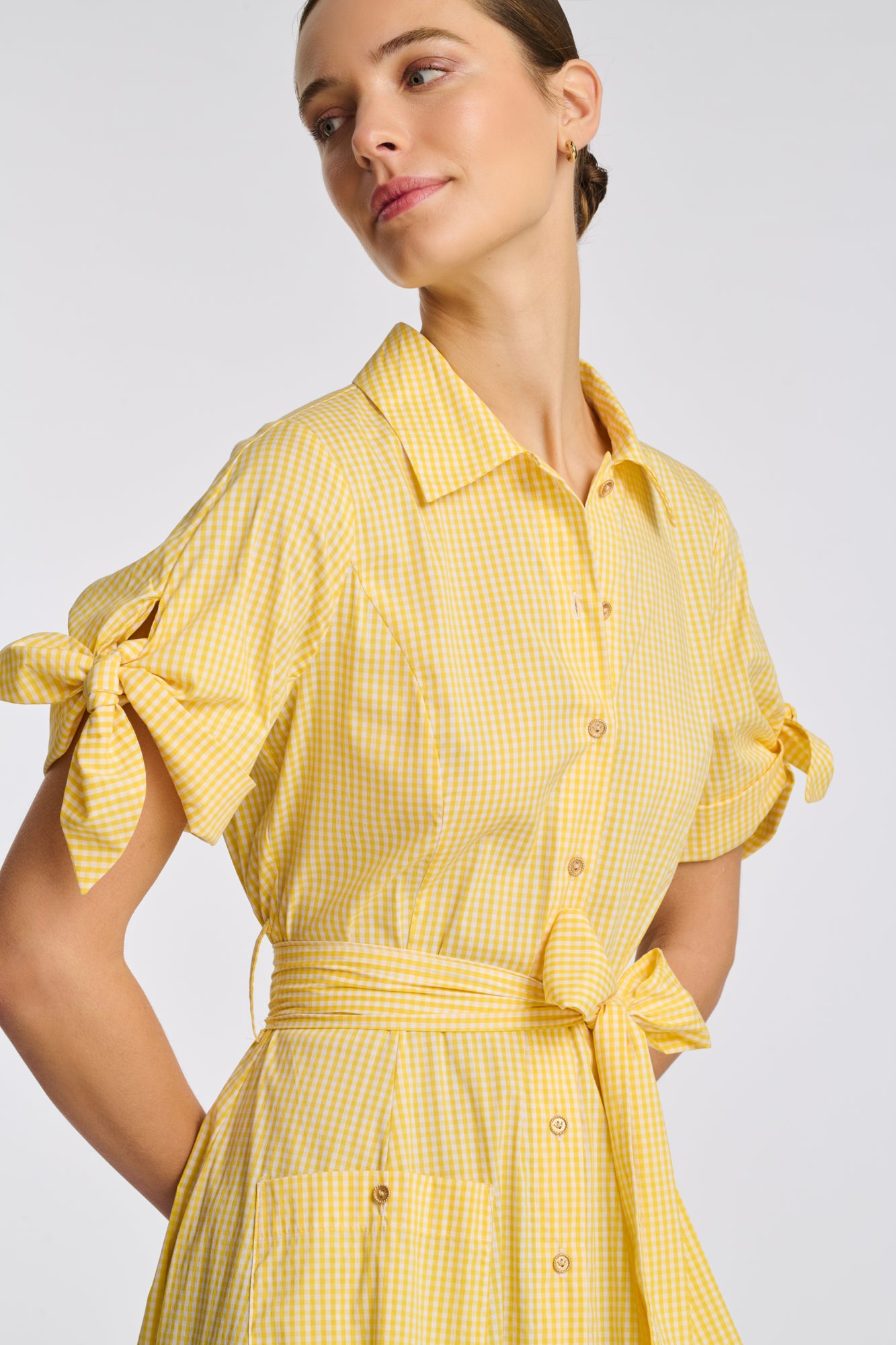 Gingham cotton shirt dress