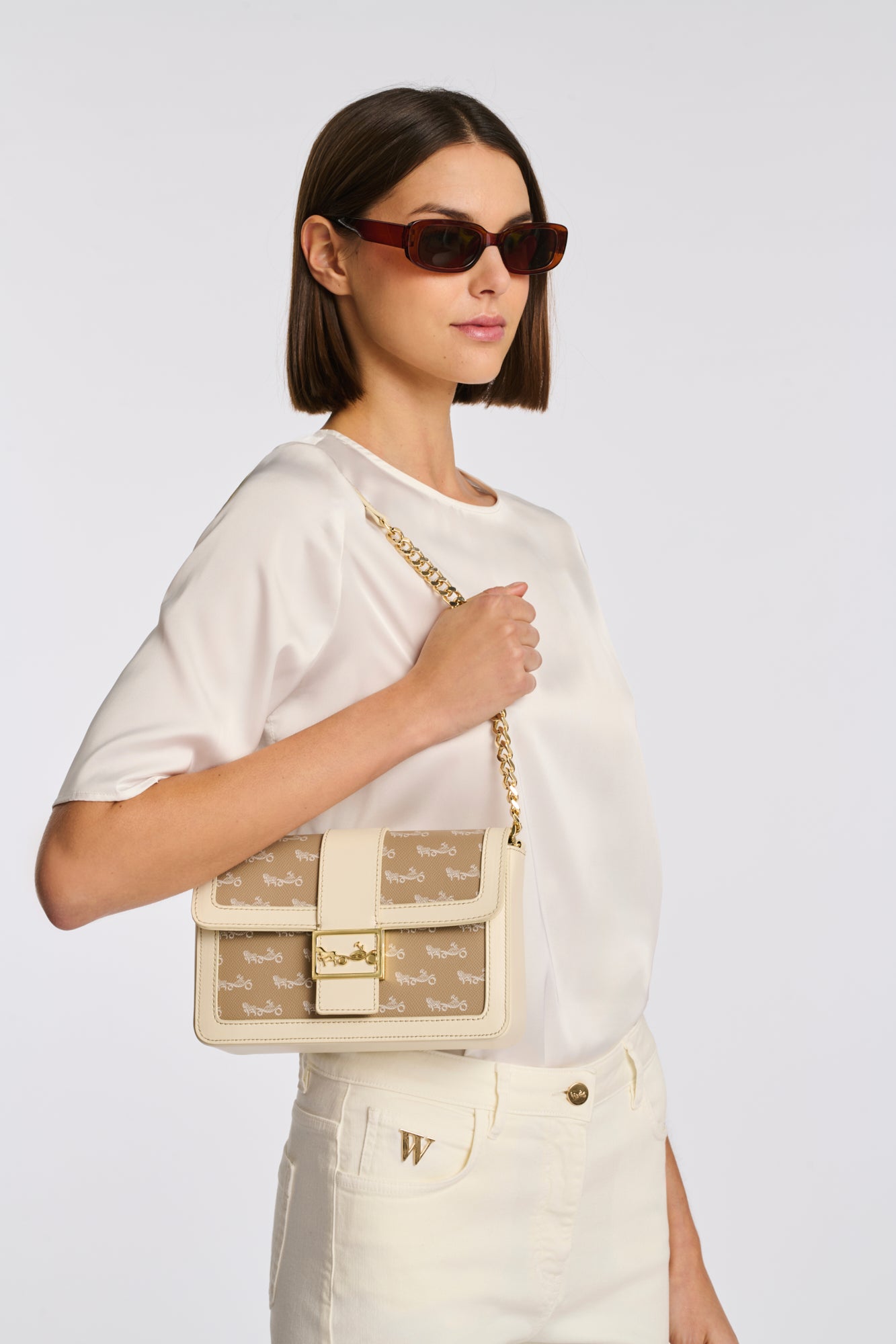 Mac Mahon bag in leather and canvas