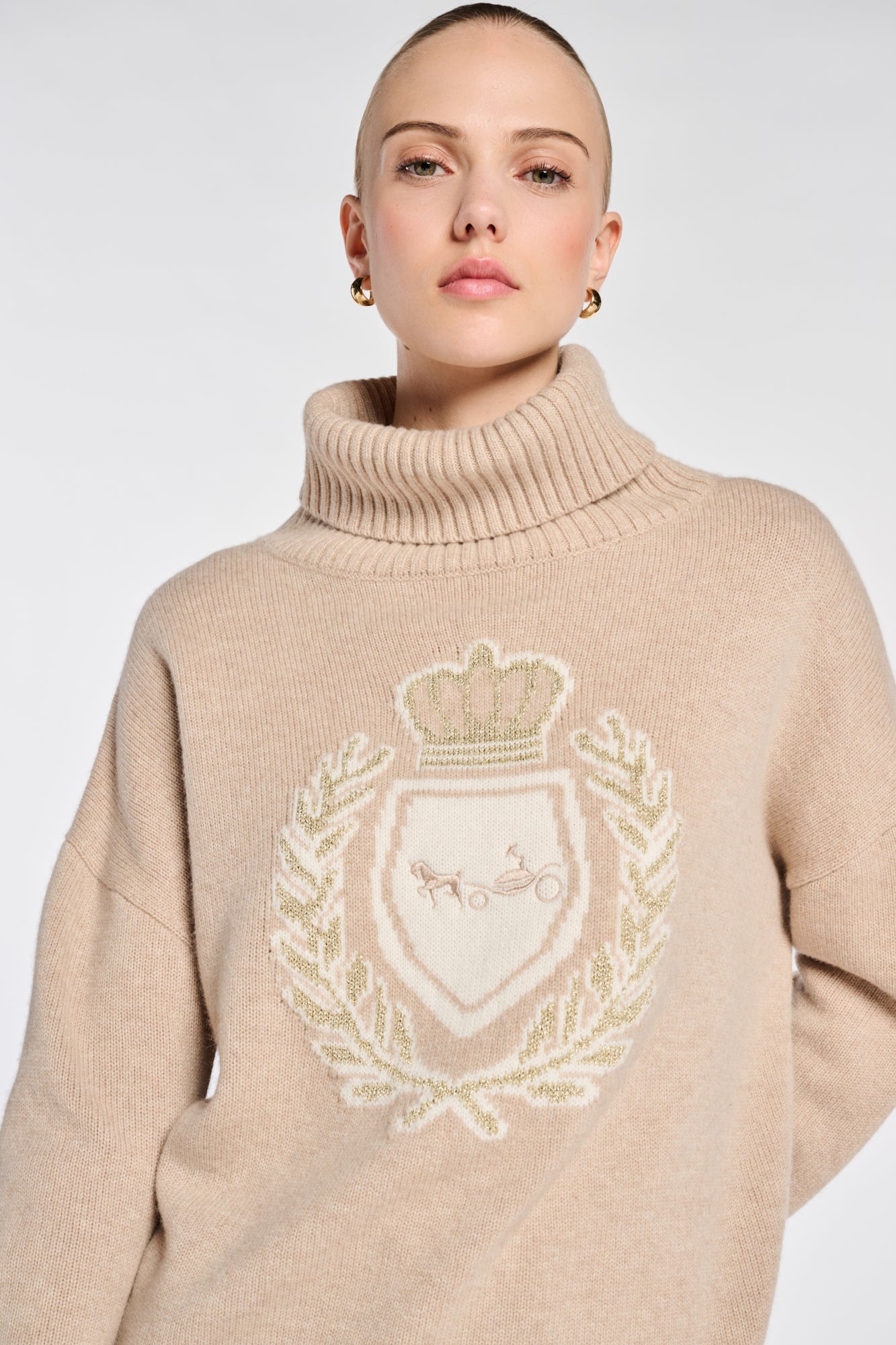 Pull col roulé à blason