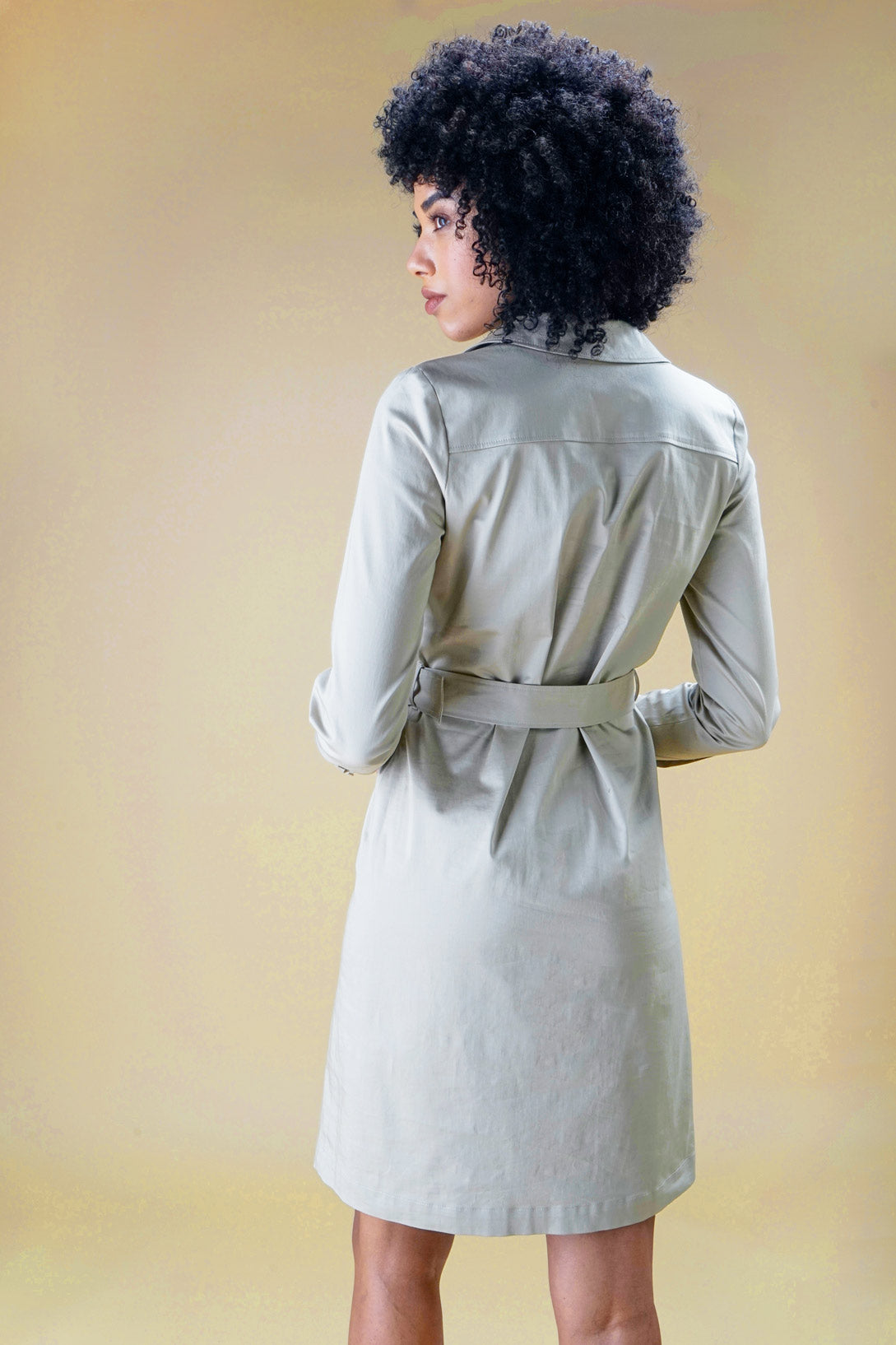 Cotton safari dress 
